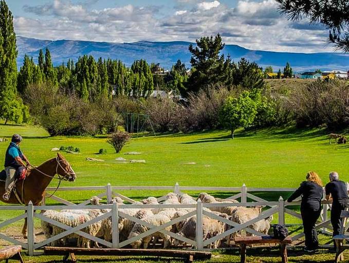 ESTANCIA 25 DE MAYO - TARDE COM JANTAR