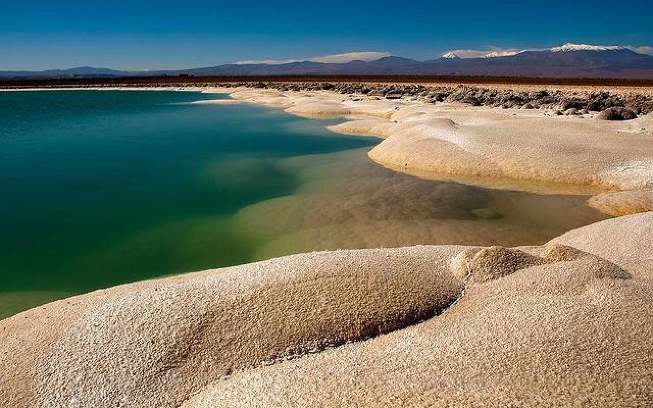 LAGUNA DEL CEJAR, OJOS DEL SALAR Y LAGUNA TEBENQUICHE CON ENTRADA