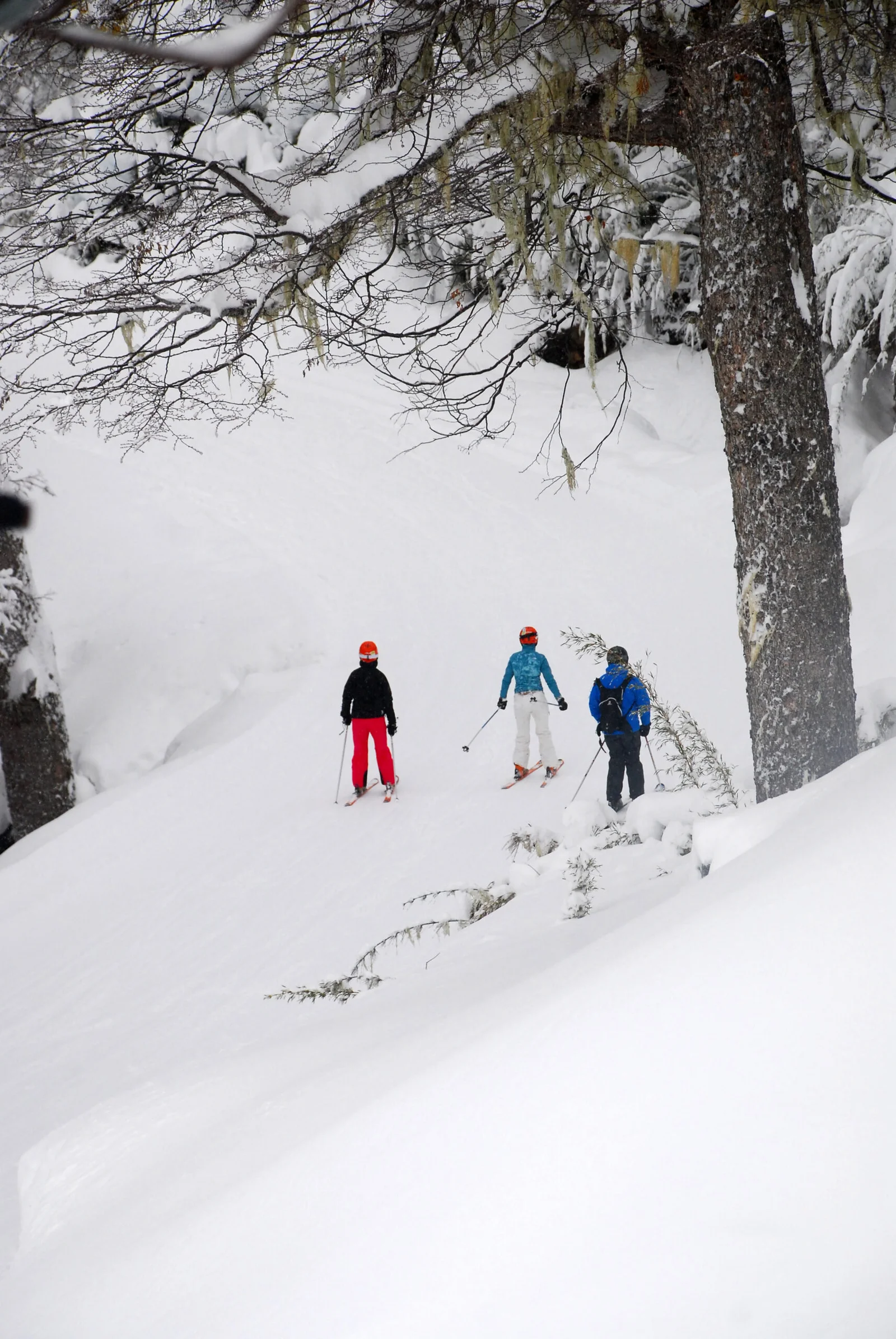 Cerro perito moreno: Ski Fun Day