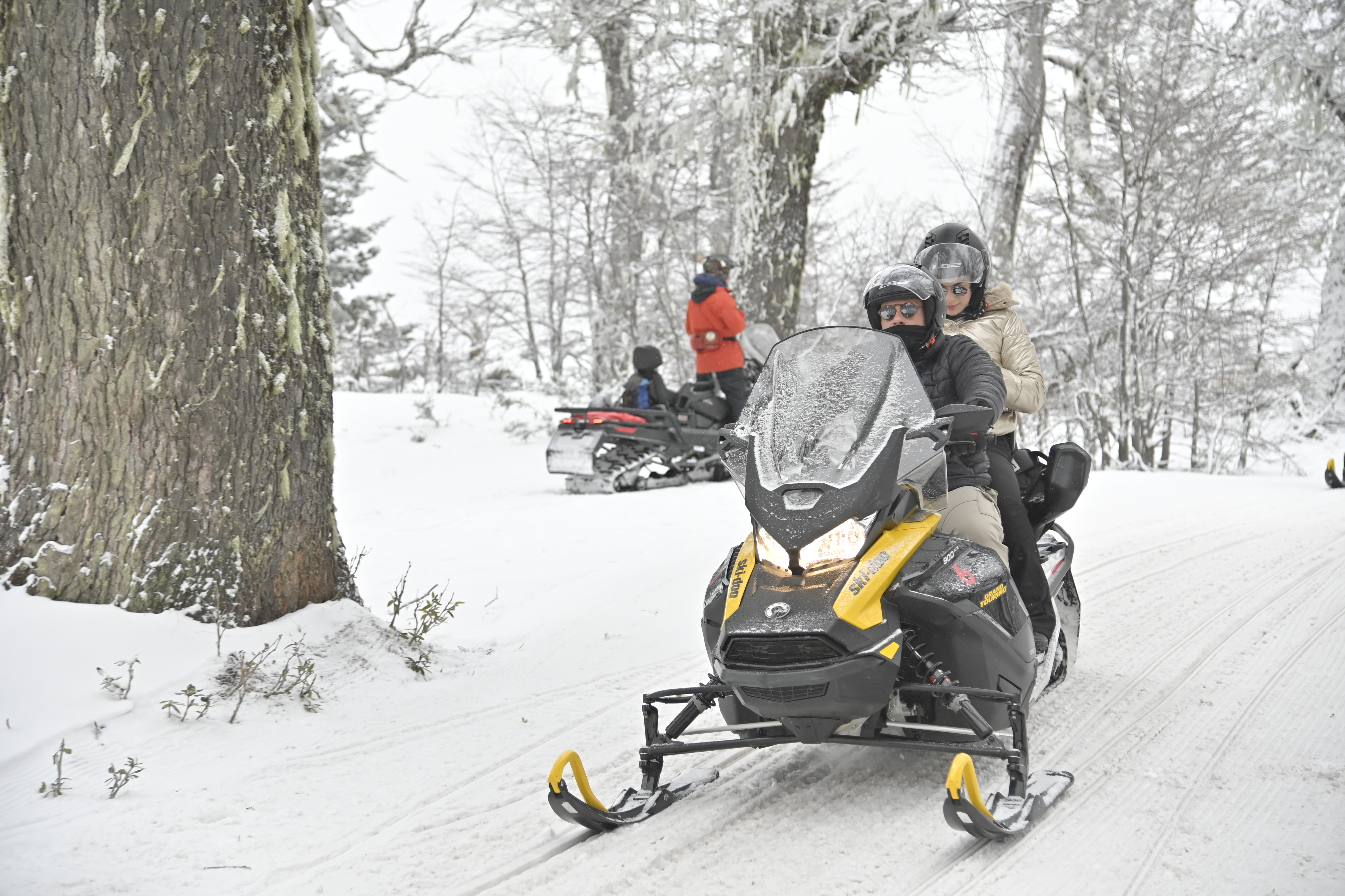 AVENTURA DE NIEVE CON MOTO DE NIEVE + ZAPATOS + SKIBUNDA CON CORDERO PATAGÓNICO (Parque Austral)