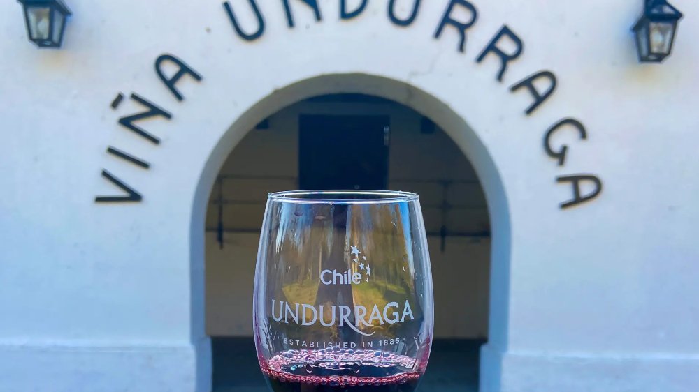 Bodega Undurraga - Tarde