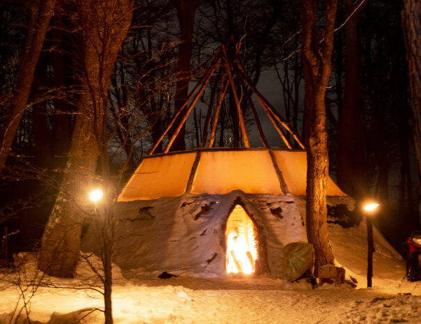 SNOW AND FIRE NIGHT EXPERIENCE / SLEDDING WITH HUSKIES / SNOW MOBILES